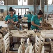 Doanh nghiệp Việt đồng loạt ‘nói không’ với gỗ bất hợp pháp