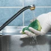 Miếng rửa chén chứa nhiều mầm bệnh hơn cả nhà vệ sinh