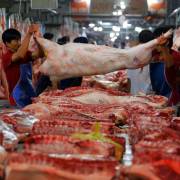 Việt Nam sẽ cấm sử dụng kháng sinh trong chăn nuôi