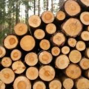 Khan hiếm nguồn nguyên liệu thách thức ngành gỗ Việt Nam