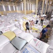 Giảm quyền của VFA, loại bỏ hàng loạt điều kiện kinh doanh xuất khẩu gạo