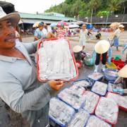 VASEP lên tiếng về ‘thẻ vàng’ của EU dành cho hải sản Việt Nam
