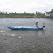 Mỹ yêu cầu bổ sung thông tin để công nhận cá tra Việt