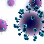 Anh: thử nghiệm lâm sàng vắcxin chống mọi chủng cúm