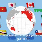 Toàn văn Hiệp định CPTPP