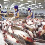 Thượng nghị sĩ Mỹ lên tiếng về việc DOC đánh thuế cá da trơn Việt Nam