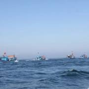 Bộ NN&PTNT ra văn bản về việc Trung Quốc tạm ngừng đánh cá