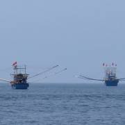 Tình trạng tàu cá vi phạm tại vùng biển nước ngoài vẫn còn phức tạp