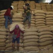 Thái Lan hướng đến mốc 10 triệu tấn gạo xuất khẩu