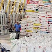 Giá gạo xuất khẩu đạt mức cao nhất trong vòng 4 năm qua