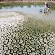 Nông nghiệp tìm cách sống chung với thủy điện sông Mekong?