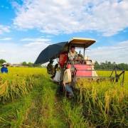 Ban hành Thông tư hỗ trợ cho vay phát triển nông nghiệp, nông thôn