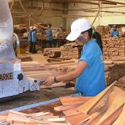 Nỗi lo khi doanh nghiệp Trung Quốc mở rộng rót vốn vào ngành gỗ