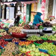 Xuất khẩu trái cây: số liệu hoàng tráng, nhưng là xuất khẩu giùm cho Thái?