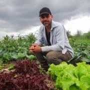 Người Brazil chung tay giúp nông dân organic