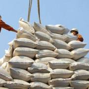 Xuất khẩu gạo: bỏ tiểu ngạch, chuyển sang chính ngạch