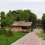 Tanjung Puting, rừng xưa đã khép?