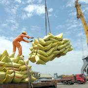 Đón đầu cơ hội xuất khẩu gạo với Nghị định 107