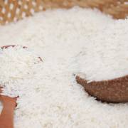 Gạo trắng Tám Trang đạt chuẩn xuất khẩu
