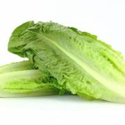 CDC cảnh báo không ăn rau xà lách romaine giữa những lo ngại về E. coli