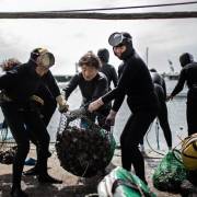 Những cụ bà ‘ama’ bám lấy nghề lặn tự do ở Nhật