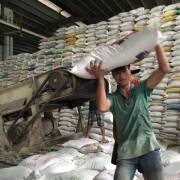 Doanh nghiệp được tự do xuất khẩu gạo hữu cơ