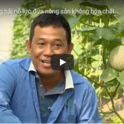 [Video] Kỹ sư hàng hải đưa nông sản sạch đến tay người Việt