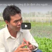 [Video] Liên kết làm rau sạch hướng đi ổn định cho người nông dân