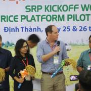 SRP tạo vùng lúa gạo bền vững cho ĐBSCL