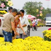 TP.HCM: Sức mua hoa các loại tăng cao