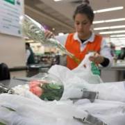 Chile chính thức cấm sử dụng túi nilon trên toàn quốc