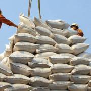 Philippines dừng điều tra sơ bộ về các biện pháp tự vệ với gạo nhập khẩu