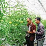 Nông nghiệp 4.0 đưa nông sản Việt ra thế giới