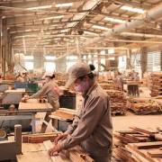 Hoạt động thương mại sản phẩm gỗ, nội thất khu vực ASEAN còn thấp