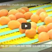 [Video] Khám phá dây chuyền sản xuất trứng sạch Vĩnh Thành Đạt