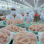 Trung Quốc chỉ nhập chính ngạch 8 loại nông sản Việt