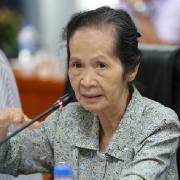 Bà Phạm Chi Lan: Lo ngại gia tăng nhập siêu từ RCEP