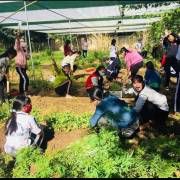 Chuyện Ino Mayu dạy học trò trồng rau hữu cơ