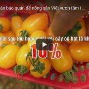 [Video] Giải bài toán bảo quản để nông sản Việt vươn tầm