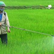 Việt Nam loại khỏi danh mục hoạt chất diệt cỏ gây ung thư Glyphosate