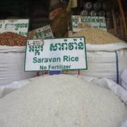 Campuchia sẽ khởi kiện EU liên quan các mức thuế nhập khẩu gạo