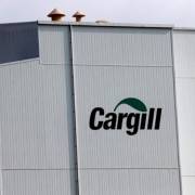 Tập đoàn Cargill thu hồi gần 150 tấn thức ăn chăn nuôi có chứa aflatoxin