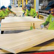 Xuất khẩu ngành gỗ tăng nhờ đầu tư nước ngoài