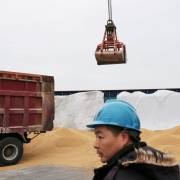 Bắc Kinh cảnh báo, nông dân Mỹ sẽ khốn đốn nếu để mất thị trường Trung Quốc