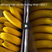 [Video] Cơ hội lớn để hàng Việt vào thị trường Nhật