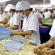 Doanh nghiệp Việt tìm cơ hội xuất khẩu sang thị trường Singapore