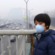 Ô nhiễm không khí khiến trẻ giảm sút trí nhớ