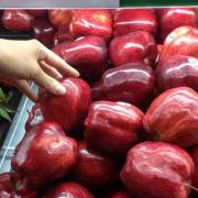 Nhập khẩu rau quả từ Thái Lan, Mỹ tăng mạnh