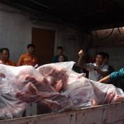 Hai container thịt lợn tại cơ sở làm giò chả nhiễm dịch tả châu Phi