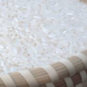 Úc thay đổi quy trình kiểm tra đối với gạo không có khả năng nảy mầm